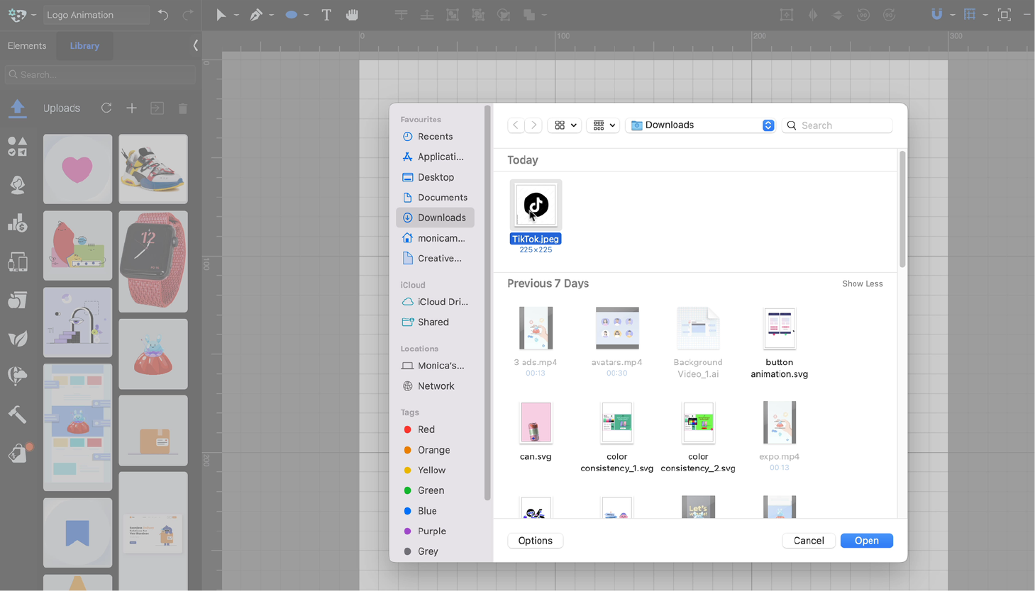 Importing an asset in SVGator