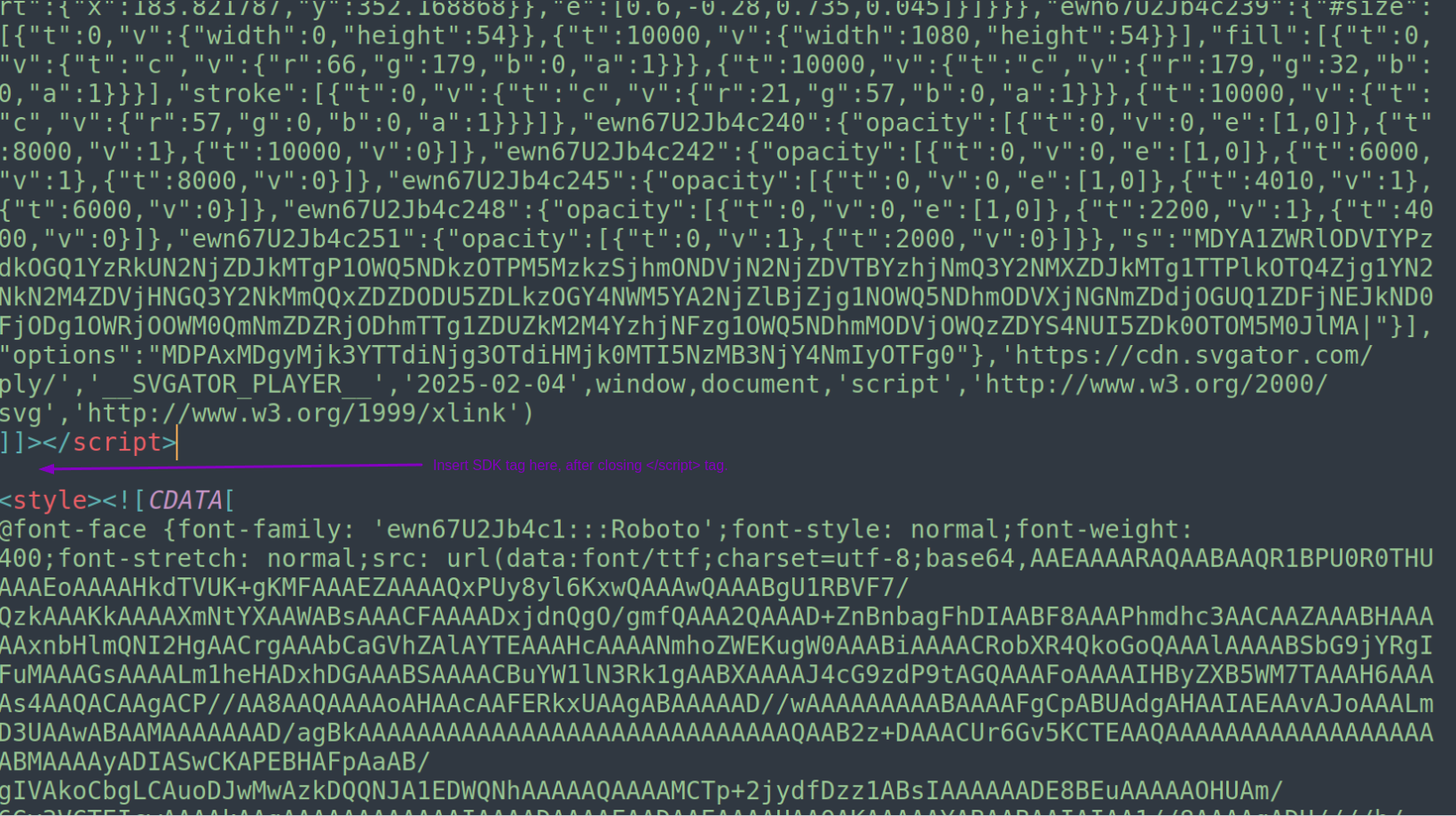 Where to insert SDK tag in code