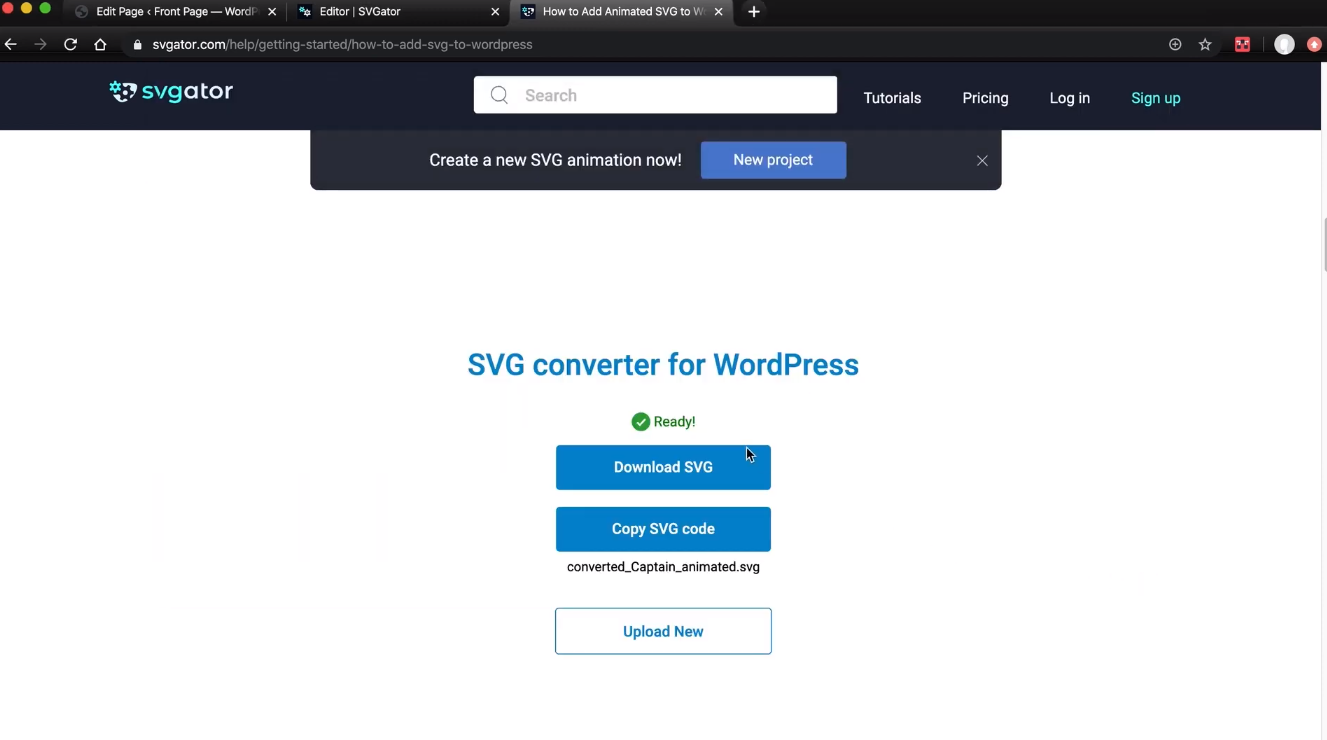 wordpress svg animation