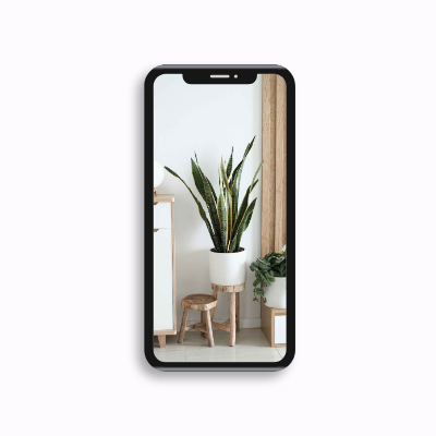 Phone carousel template - horizontal animated shuffle