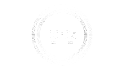Countdown timer for dynamic intros